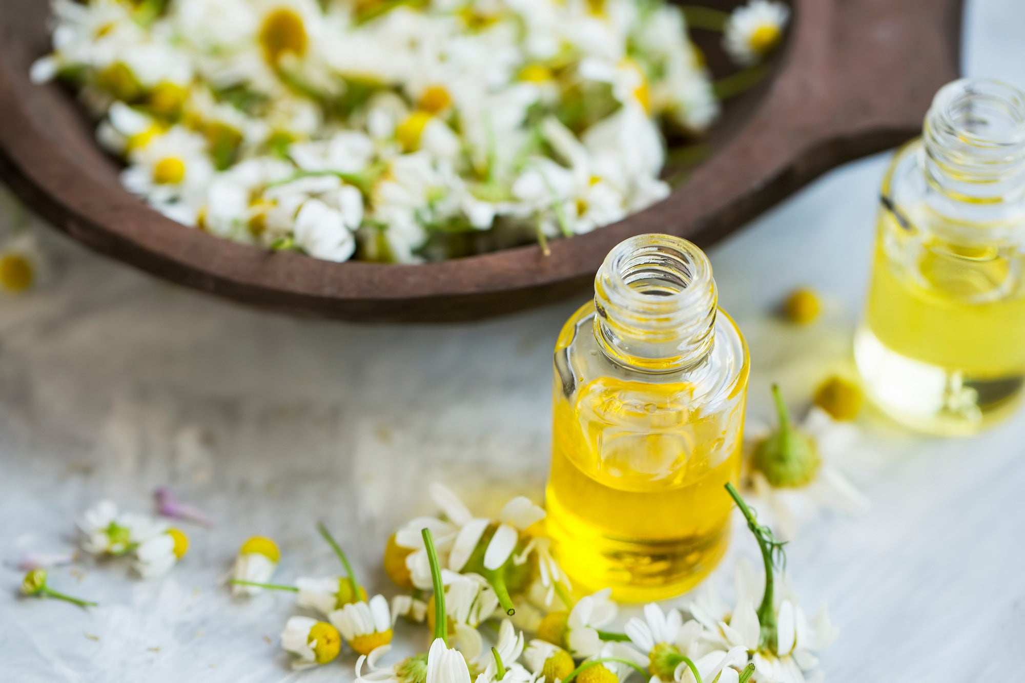 Chamomile flowers and chamomile oil in glass bottles